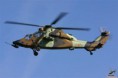 /album/fotogaleria/helicoptero-tigre-jpg/